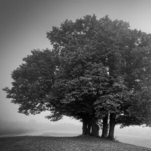 Experienced Candidates