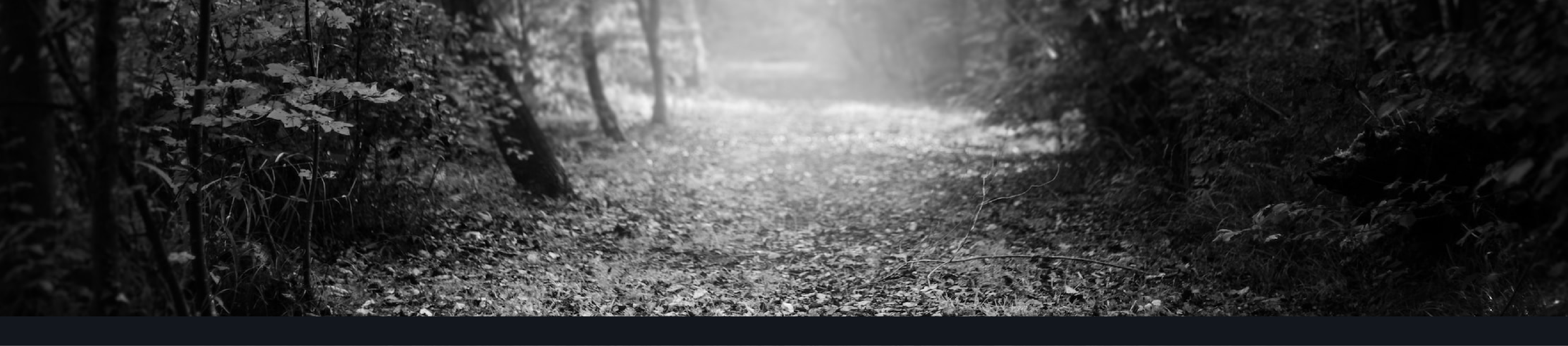 Banner contact